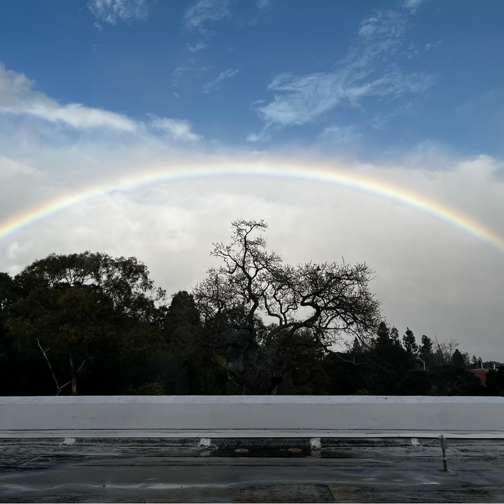 Meet your Posher, Evelyn moe